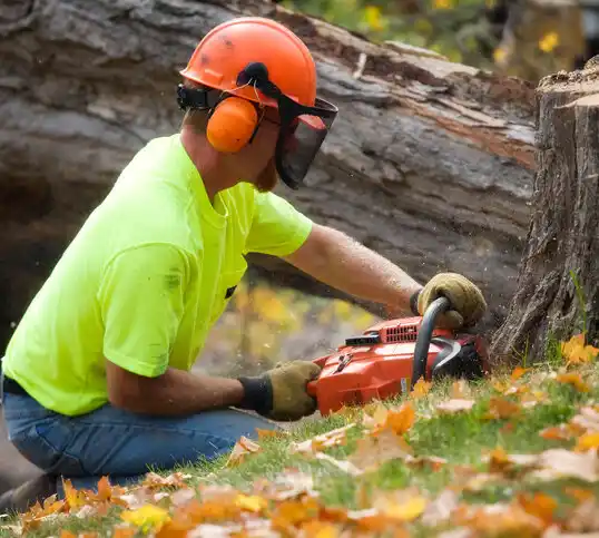 tree services Durant